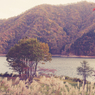 いつか見た風景（2015秋の九頭竜湖より）