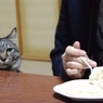 視線