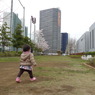 公園をてくてく