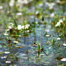 after cold rain