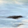 Undulation