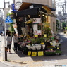 街角花や