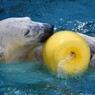 離さへんでっ