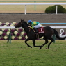 2016京都記念