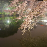 IMGP4066b