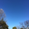 冬空05