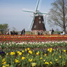 Akebonoyama Farm Park