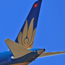 ✈Vietnam B787-9　✈尾翼