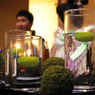 嘯月WEDDING