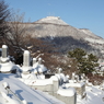 函館山