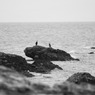 DSC04328-2-1