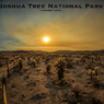 Joshua Tree National Park