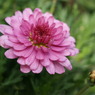 DSC00227