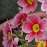 DSC00240