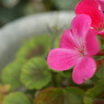 DSC00258