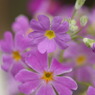 DSC00269