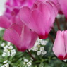 DSC00287