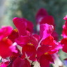 DSC00379