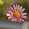 DSC00658