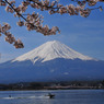 富士と桜