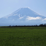 朝霧高原