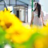 夏の匂い芳しく