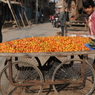 The Himalayan Kathmandu & Pokhara, Nepal