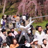 滝桜～747急旋回？