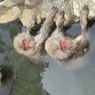 CIMG0779