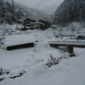 CIMG0737
