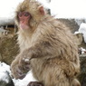 CIMG0856