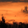 実家の夕景