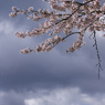 雲の切れ間から