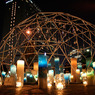 20080515_3746