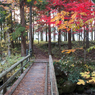 駿馬川の小さな橋にて（手取峡谷2015年秋より）