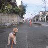 また写真？ (=_=)