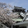 岡崎城