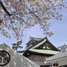 岡崎城