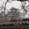 姫路城 