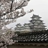 姫路城 