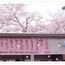 桜、その前に・・・