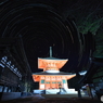 高野山根本大塔夜景