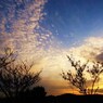 久々の夕焼け