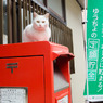 手紙と葉書は郵便ポストに投函してね