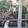 鳥居前にて（小松天満宮より）