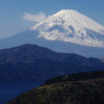 旅写真　大観山より