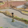 箐口哈尼族民俗村#6