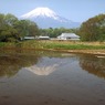 ５月定点逆さ春