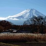 11月忍野定点