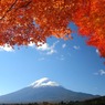 11月河口湖畔紅葉